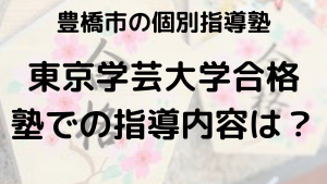 東京学芸大学合格体験記｜共通テスト対策で成功したYさんの秘訣を示す画像