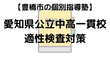 【愛知県公立中高一貫校 2026】 適性検査 対策 テキスト 過去問 塾講師が徹底解説