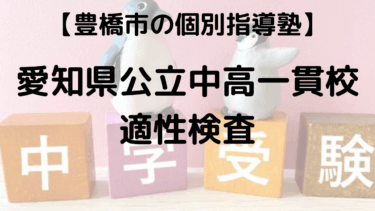【愛知県公立中高一貫校 2025】 適性検査 難易度 平均点 合格ライン 問題解説